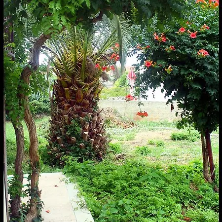 Apartment Boljat *